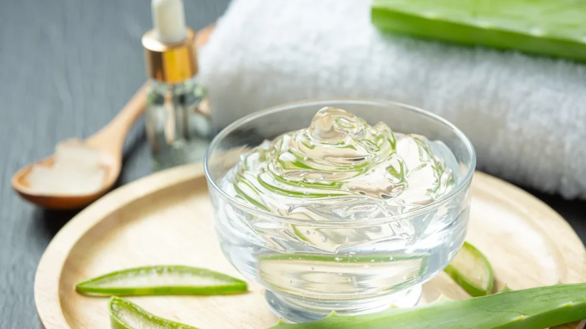 Aloe vera adalah tanaman herbal yang memiliki sifat penyembuhan kulit yang luar biasa.