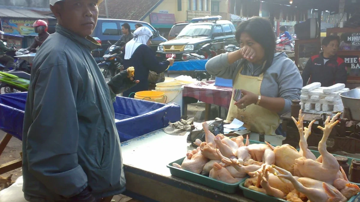 ALAMI KENAIKAN: Seorang pedagang di Pasar Inpres Sumedang saat menjajakan dagangannya, baru-baru ini.