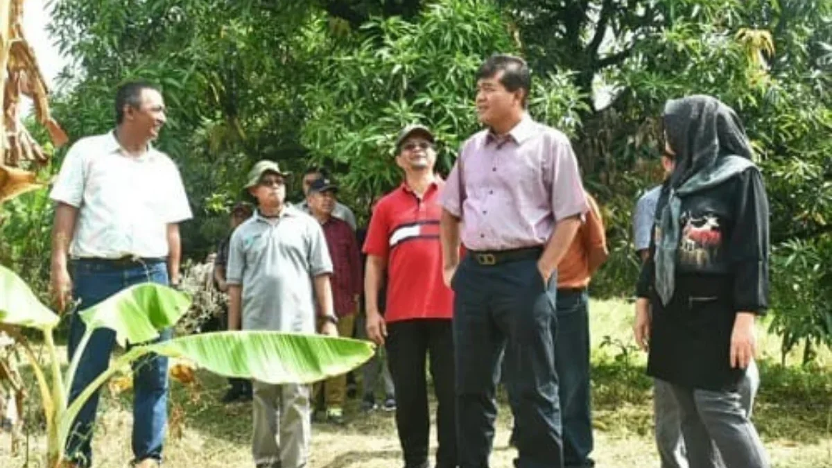 TINJAU: Kabarantin Sahat Manaor Panggabean saat meninjau langsung calon lokasi VHT di gedung eks Pasar Tolenga