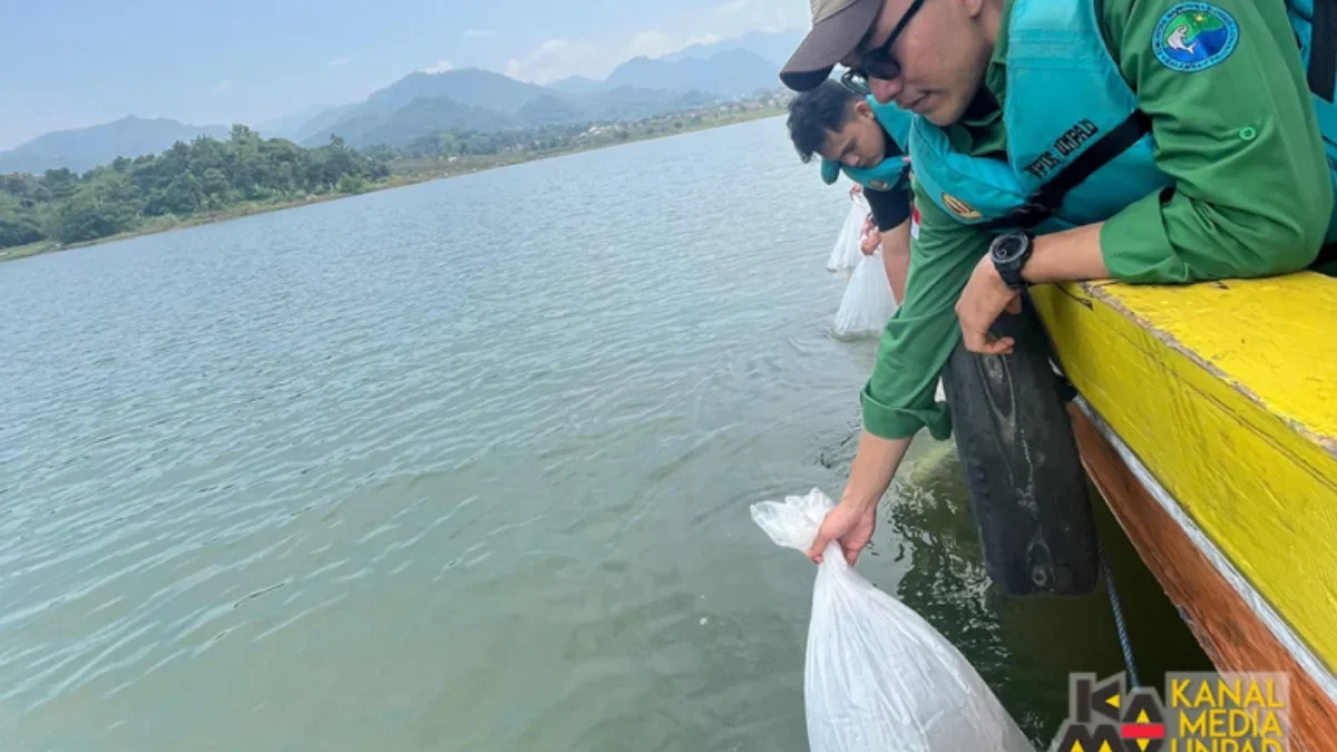 Karamba FPIK Unpad Lepas 100 Ribu Benih Ikan Nilem di Waduk Jatigede