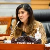 Tidak Ada Cadangan Data PDNS, Meutya Hafid Sebut Ini Kebodohan