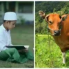 Santri Tasikmalaya Dapat Hadiah Sapi Berkat Hafalan 30 Juz Al-Qur’an