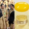 BNN Temukan Kejutan Besar dalam Tes Urine PNS! Apa yang Terjadi?