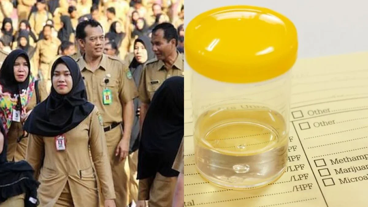 BNN Temukan Kejutan Besar dalam Tes Urine PNS! Apa yang Terjadi?