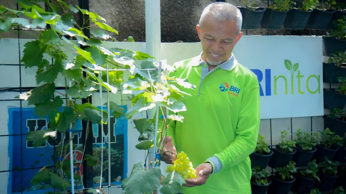 Didukung BRINita, Kelompok Tani Ini Sulap Lahan Terbengkalai Jadi Produktif