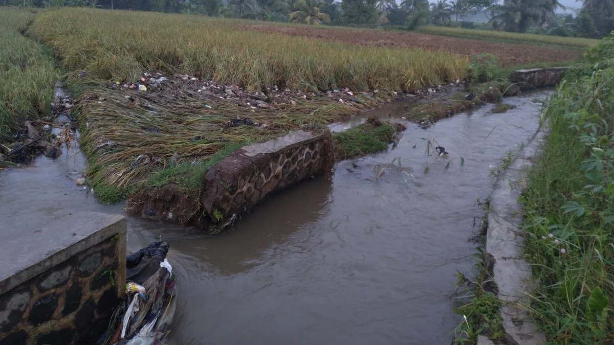 Saluran Irigasi Jebol