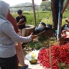 TUNJUK: Bendahara Desa Kebonjati, Ekawati saat menunjukan hasil panen cabe di wilayahnya, baru-baru ini.