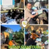 GELAR: Rangkaian kegiatan kurban yang dilaksanakan Yayasan Insan Sejahtera Sumedang, baru-baru ini.