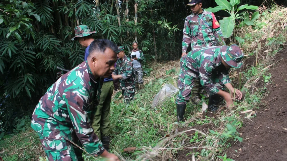 TANAM: Personel Koramil 1002/Cimalaka saat melaksanakan kegiatan penanaman pohon di Desa Mandalaherang, Rabu (