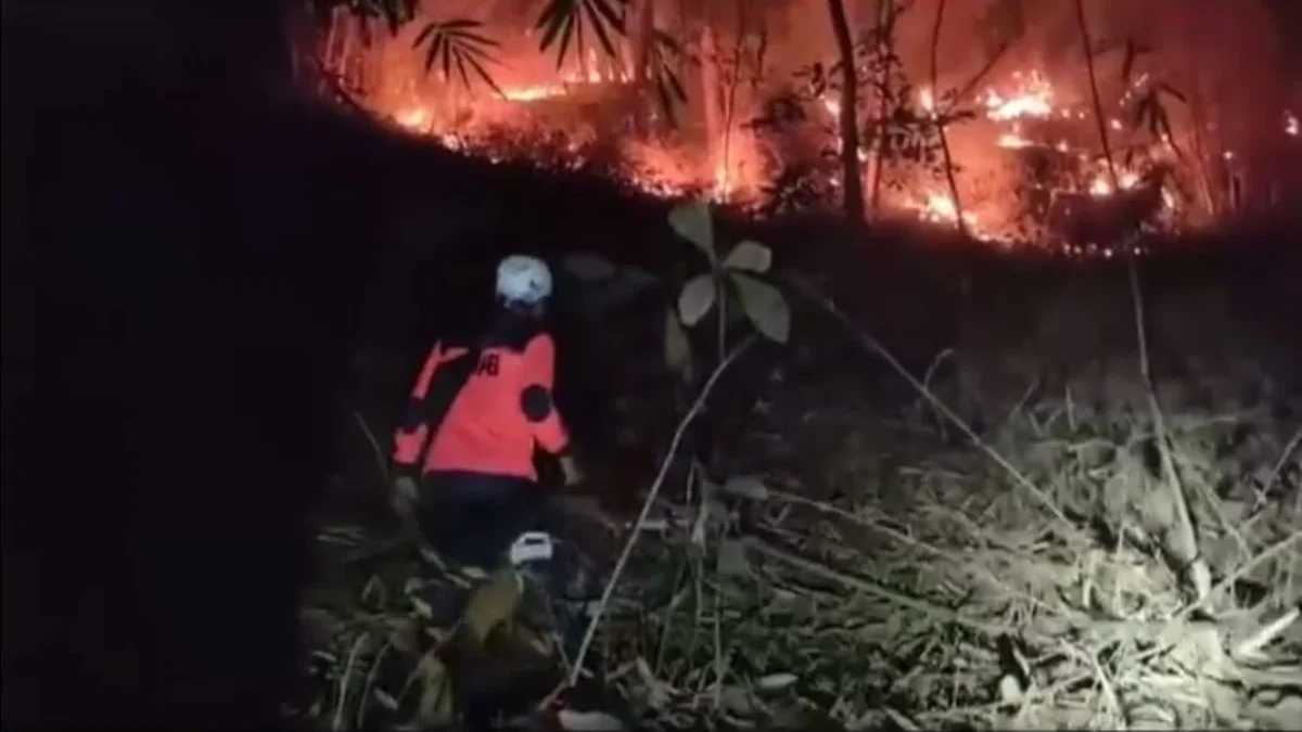 PADAMKAN: Anggota BPBD Sumedang saat melakukan pemadaman kebakaran lahan beberapa waktu lalu.