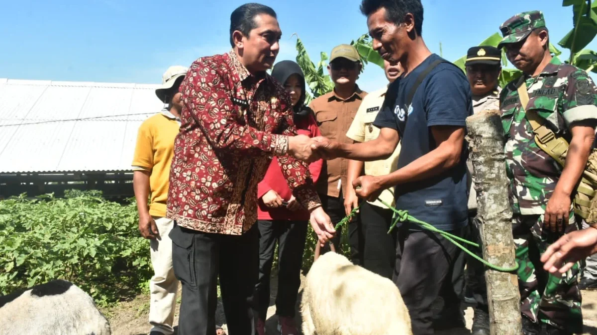 SERAHKAN: Pj Bupati Sumedang Yudia Ramli saat memberikan bantuan hewan ternak kepada seorang warga di Cimalaka