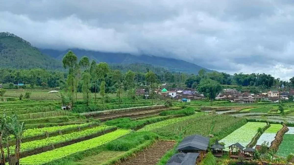 Rezeki Nomplok Kisah Pemilik Lahan di Desa Talagasari Garut yang Mendapatkan Rp 2,3 Miliar dari Tol Getaci