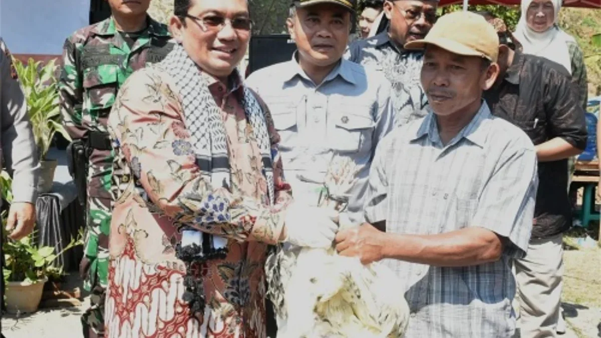 Pj Bupati Yudia Bagikan Bibit Ayam