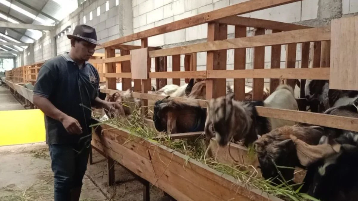 Jakpus Pastikan Hewan Kurban Sehat dan Aman