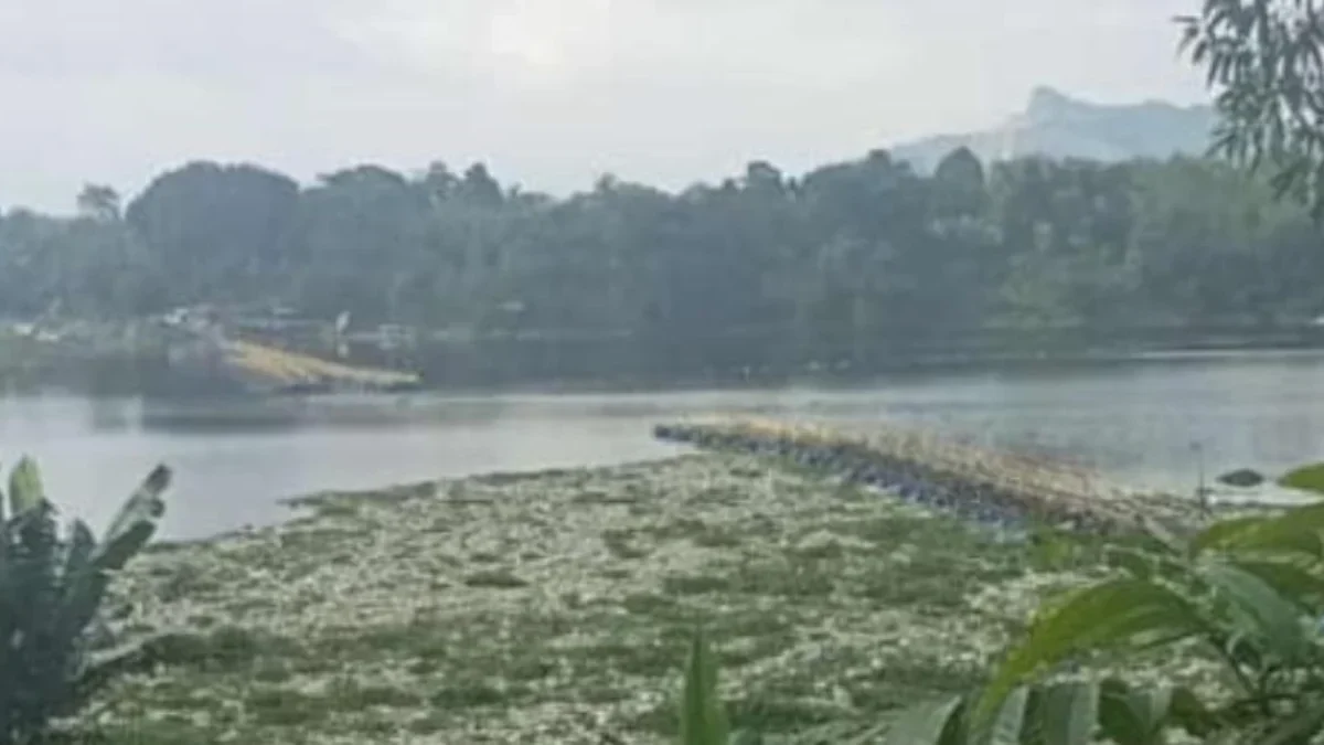 Sampah Menumpuk di Perairan Sungai Citarum, Jembatan Penghubung Cihampelas-Batujajar Terpaksa Diputus