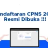 Update Terbaru Jadwal Pendaftaran CPNS 2024 dari BKN