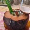 Kelapa bakar