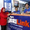 Wanita Asal Tanjung Priuk Ini Beri Bukti Kisah Sukses Jadi AgenBRILink