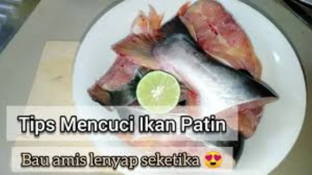 Tips Mebersihakn Ikan Agar Tidak Amis