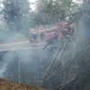 PADAMKAN: Petugas Damkar saat berusaha memadamkan kebakaran hutan dan lahan di Tanjungkerta, baru-baru ini.