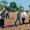 TANAM: Brimob Polda Jabar saat menanam jagung, di lahan Perkebunan di kaki Gunung Geulis, baru-baru ini.