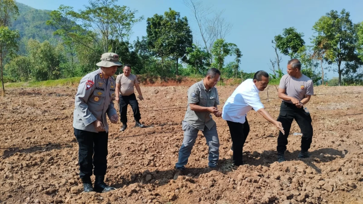 TANAM: Brimob Polda Jabar saat menanam jagung, di lahan Perkebunan di kaki Gunung Geulis, baru-baru ini.