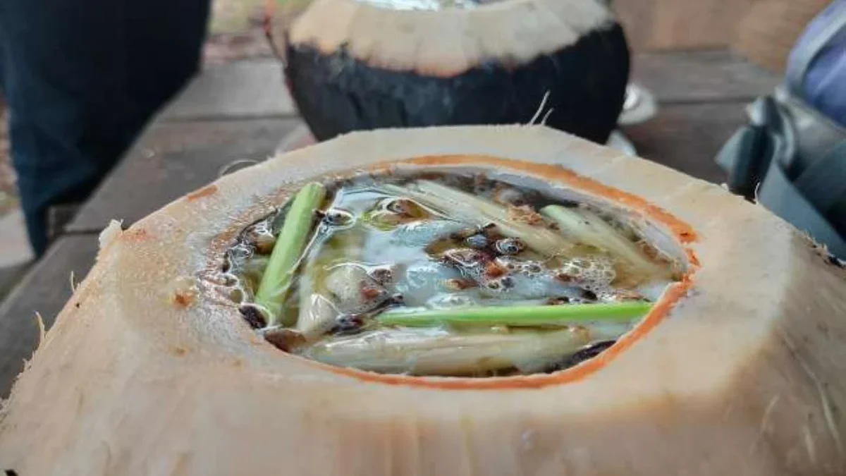 kelapa bakar