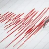 Gempa Baru Saja Guncang Maluku, BMKG Garcep Beritahu Kekuatan Guncangnya