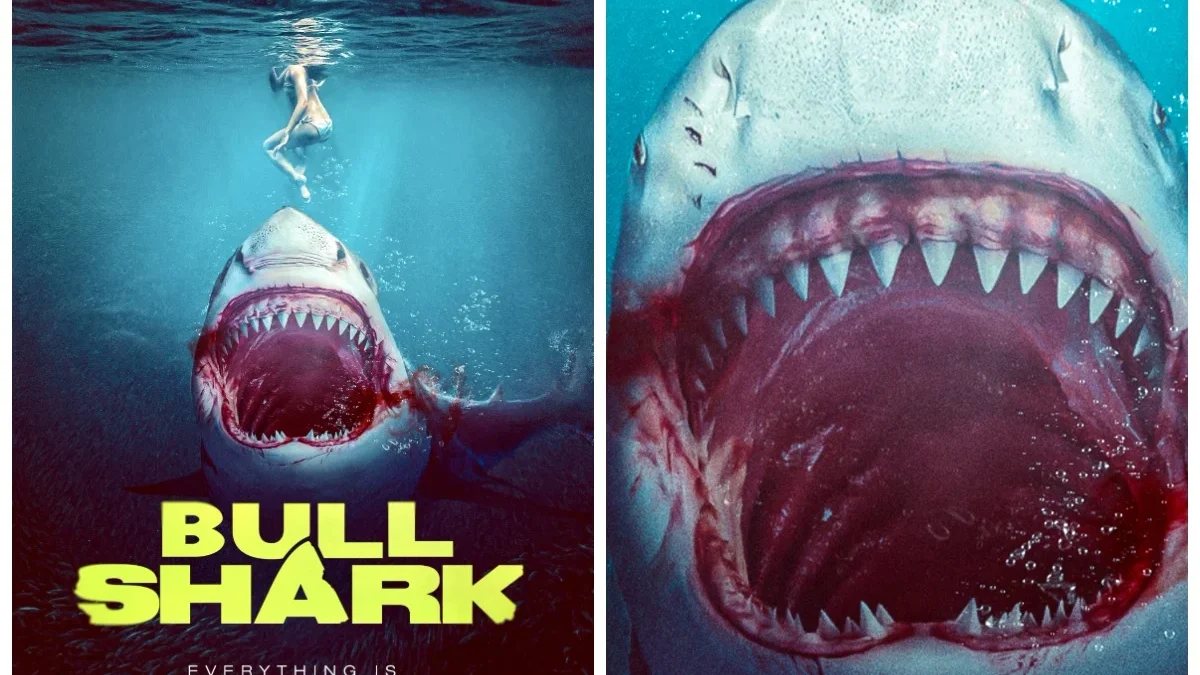 Link Nonton Film Bull Shark Full HD 2024: Petualangan Seru dan Menegangkan di Perairan Texas