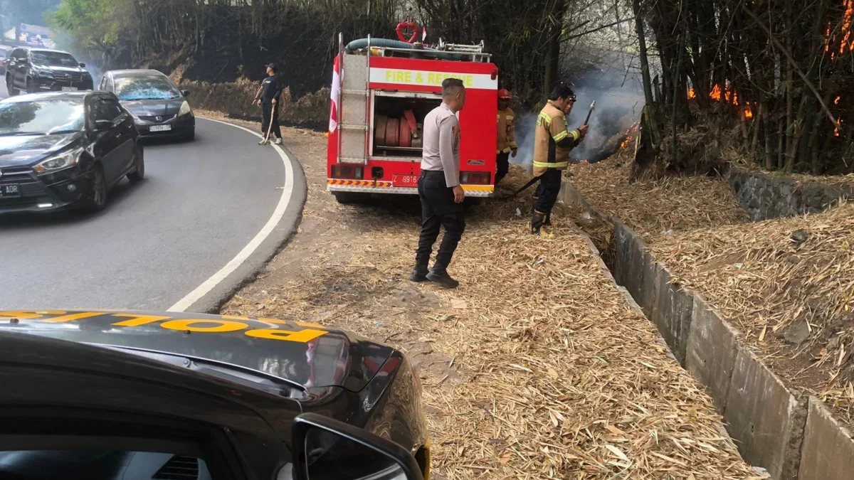 PADAMKAN: Regu 3 UPT Damkar Wilayah Tanjungsari saat berusaha memadamkan api di lahan Balai Benih Kortikutura