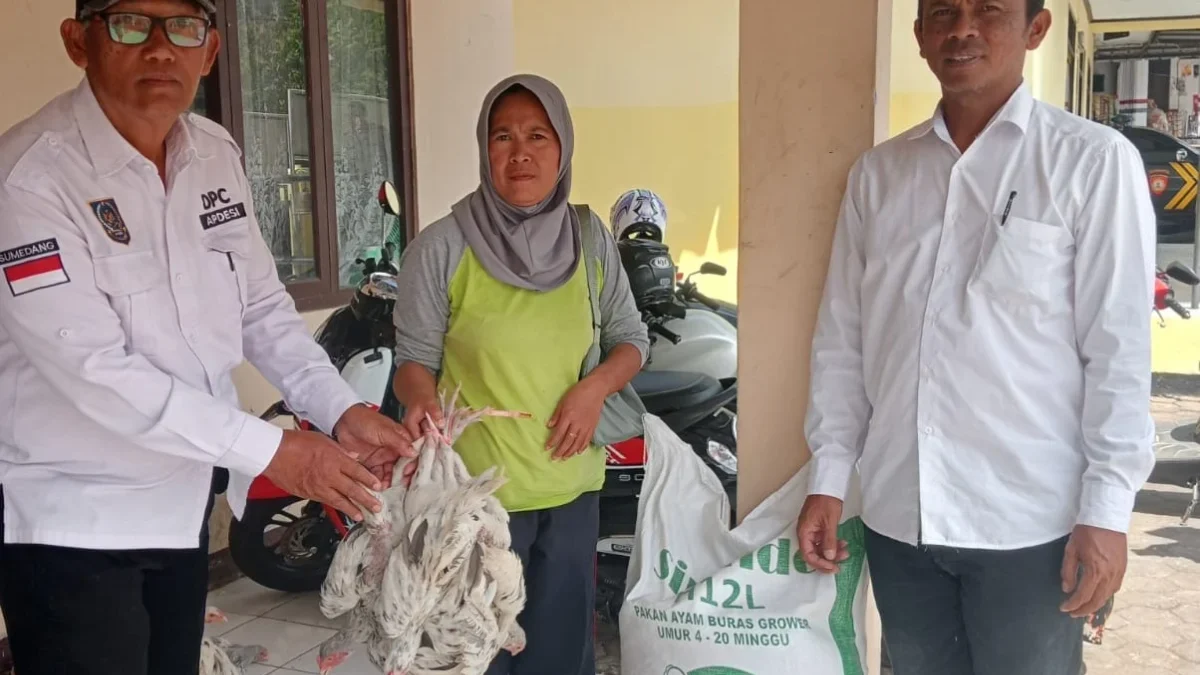 SERAHKAN: Kepala Desa Rancakalong H. Wawan Kuswandi saat menyerahkan bantuan paket bibit ayam Sentul ke salah
