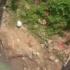 BERSERAKAN: Sampah di Sungai Cimanuk Kelurahan Talun, Kecamatan Sumedang Utara, Selasa (20/8).