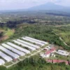 BELUM TERWUJUD: Kawasan Industri industri Buahdua, Ujungjaya dan Tomo (Butom) Kabupaten Sumedang.