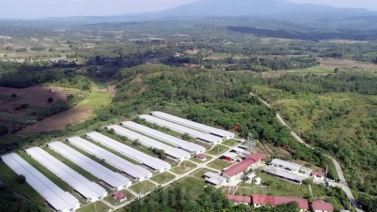 BELUM TERWUJUD: Kawasan Industri industri Buahdua, Ujungjaya dan Tomo (Butom) Kabupaten Sumedang.