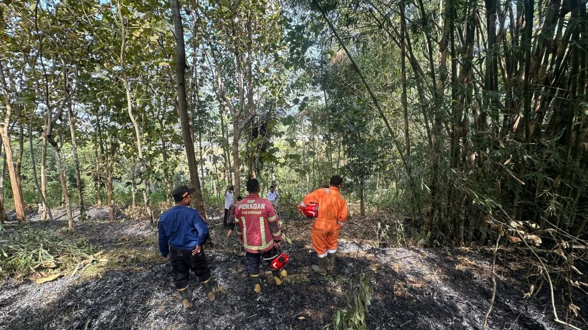 PADAMKAN: Petugas pemadam kebakaran saat mengupayakan pemadaman kebakaran lahan di wilayah Kabupaten Sumedang.