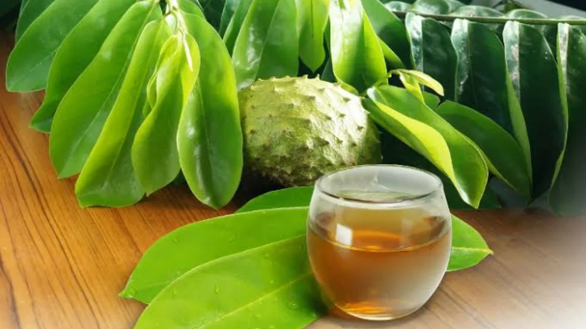 Tiga Daun Alami Obat Kolestrol Menurunkan Kadar dan Gejalanya