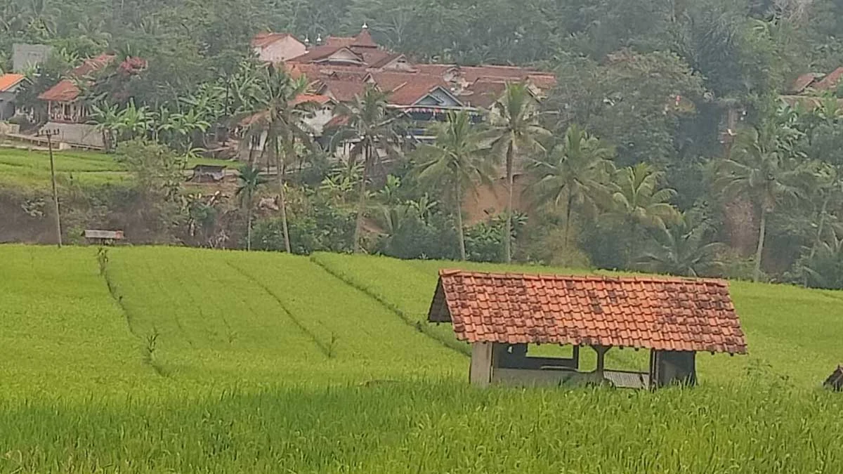 https://radartasik.id/pertanian-kota-tasikmalaya-masih-tertinggal-90-persen-produk-pertanian-didatangkan-dari-