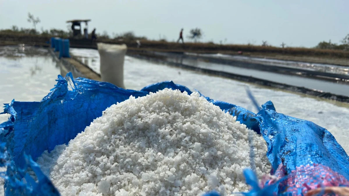 Harga Garam Anjlok, Petani Merugi