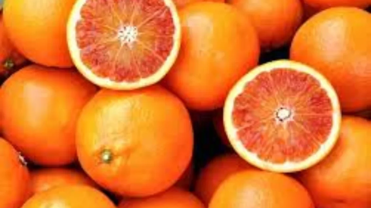 Bahaya Kekurangan Vitamin C Bagi Tubuh