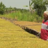 DBHCHT Berikan Perlindungan Kesehatan dan Keselamatan untuk Ribuan Petani Tembakau di Sumedang