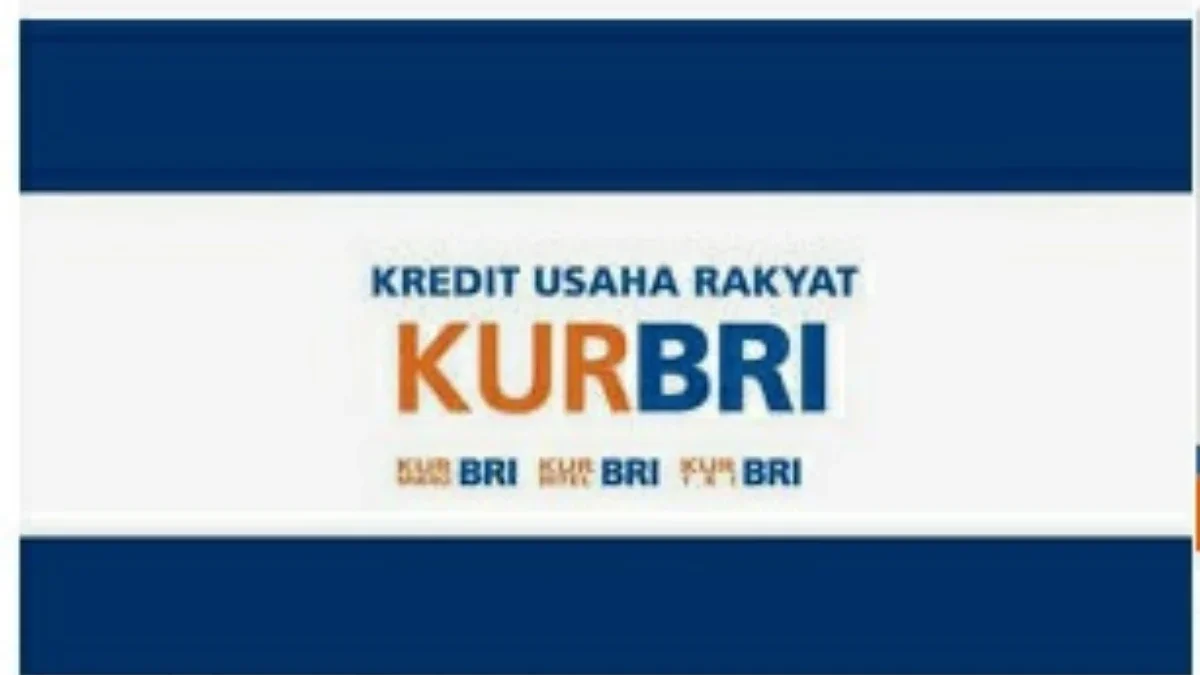 Lagi Ajukan KUR di Bank BRI, Berikut Panduan Agar Pinjaman Bisa Cair