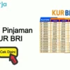 Bunga Rendah, Pinjaman KUR BRI Kian Diminati Agus Ingin Buka Pangkalan Gas