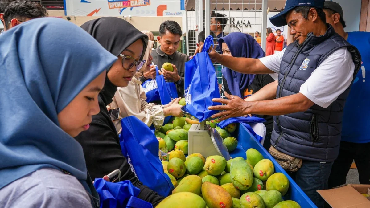 Diberdayakan BRI, Petani Mangga Bondowoso Mampu Perluas Lahan dan Tingkatkan Taraf Hidup