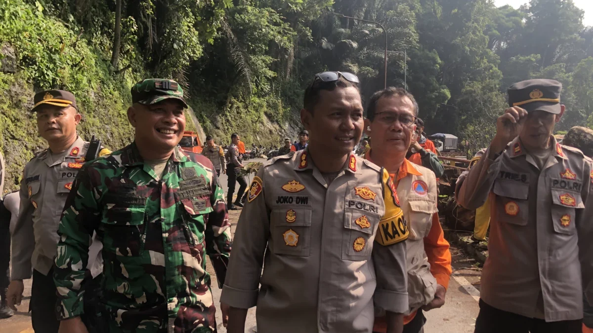 Pohon Tumbang di Cadas Pangeran Sumedang Sebabkan Antrian Panjang Kendaraan, Kapolres: Sudah Bisa Dilalui