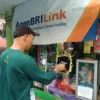 Pahlawan Inklusi Keuangan, AgenBRILink di Tengah Kebun Kelapa Sawit Berhasil Dekatkan LayananPerbankan