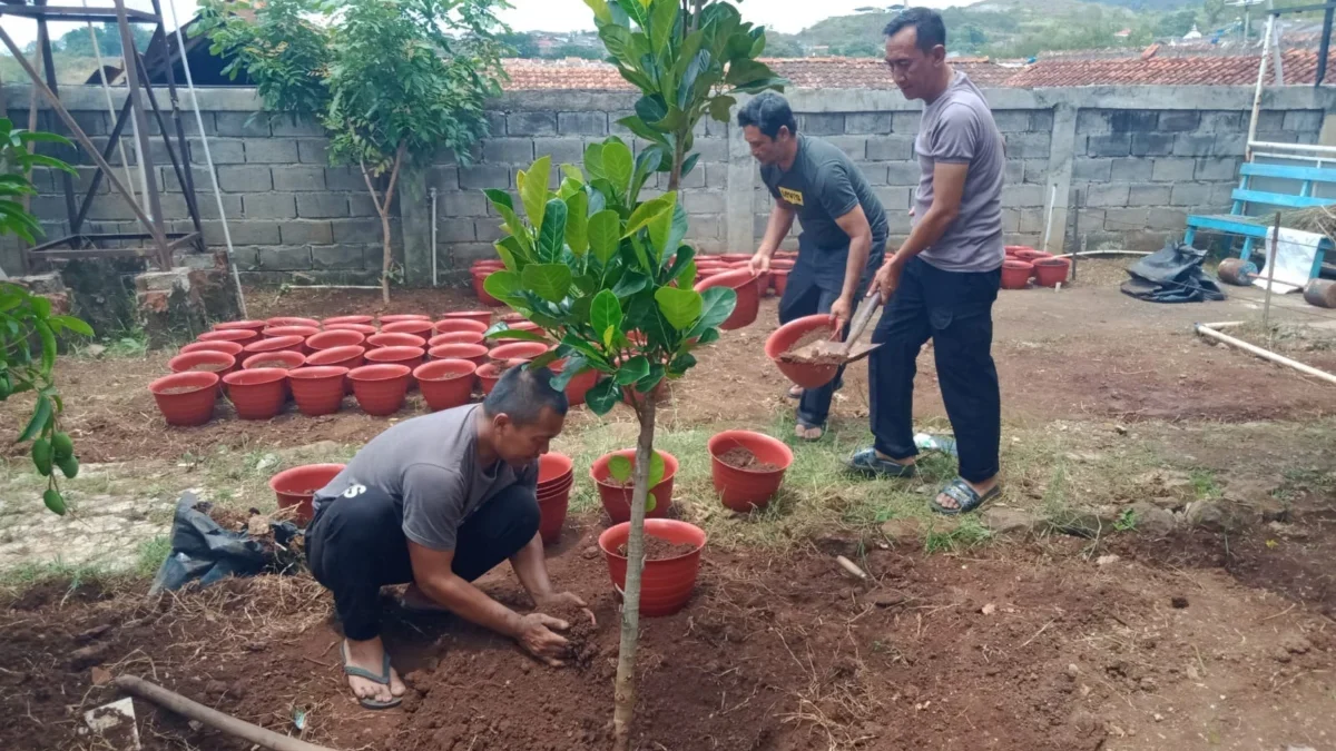 BERTANI: Sejumlah personil Polsek Cimanggung saat menanam berbagai jenis tanaman di belakang Mako Polsek Ciman