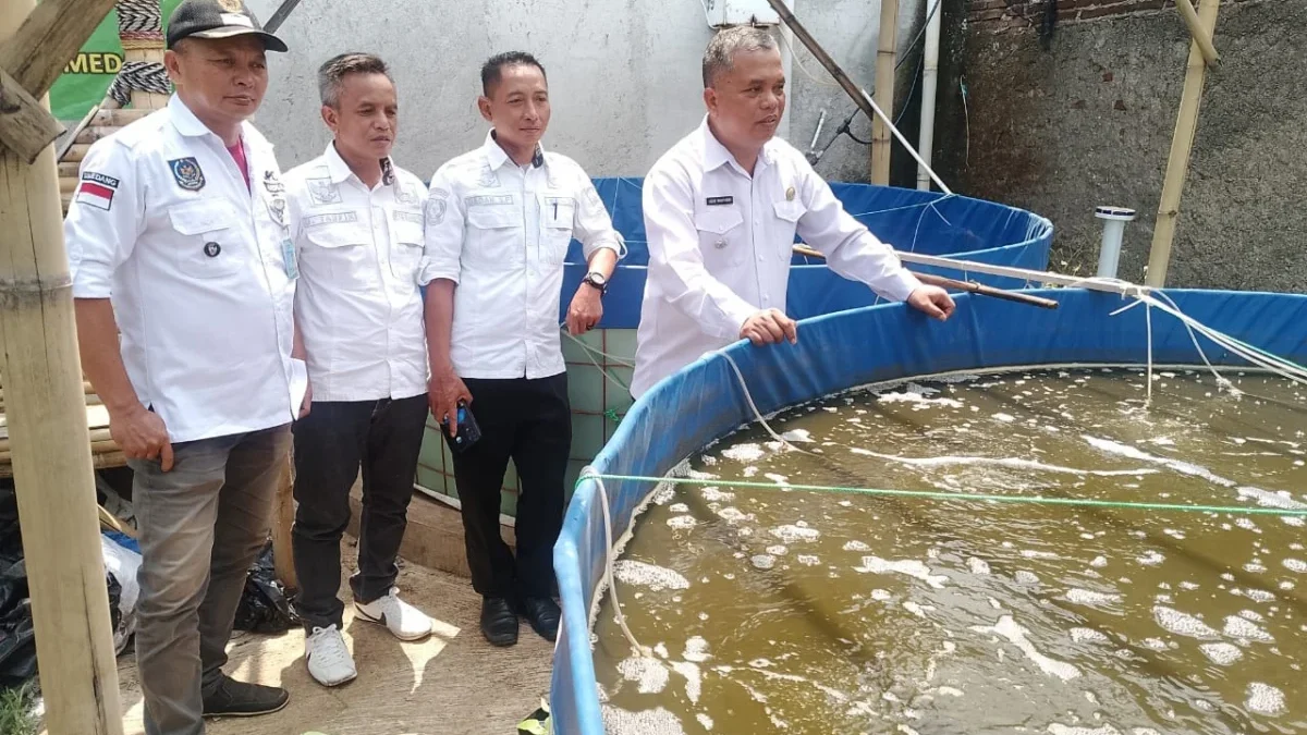 TINGKATKAN EKONOMI: Camat Cimanggung Agus Wahyudin saat mengecek kolam ikan bioflok di Desa Sukadana, baru-bar