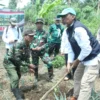 TANAM: Anggota Koramil 1002/Cimalaka saat penanaman pohon jagung hibrida dan pohon sukun di Kecamatan Cimalaka