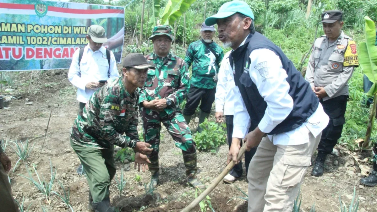 TANAM: Anggota Koramil 1002/Cimalaka saat penanaman pohon jagung hibrida dan pohon sukun di Kecamatan Cimalaka