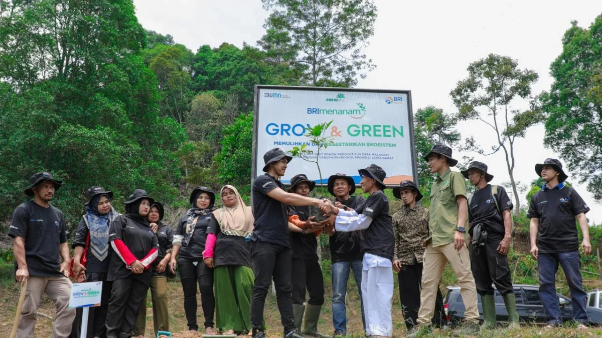 Pulihkan Hutan Bekas Tambang, Aksi Nyata Kelompok Tani Selamatkan Lingkungan Bersama BRI Menanam-Grow & Green